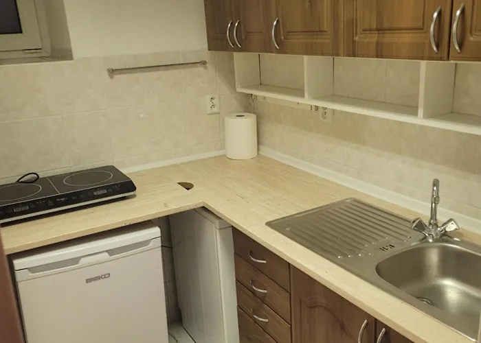 In Historic Centre Of アパート オストラヴァ